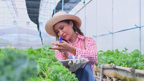 agricultor comprobando verduras orgánicas frescas en la granja inteligente hidropónica, producir cosecha de verduras agricultura con negocios, concepto de alimentos limpios y saludables.