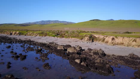 Aerial-footage-of-the-Piedra's-Blancas-State-Marine-Reserve-in-San-Simeon-California-USA