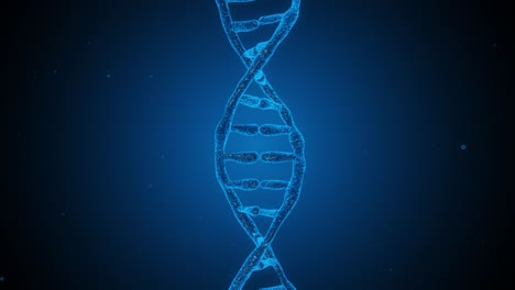 3d animation of dna molecule. the lens slides from bottom to top.