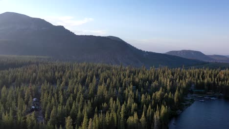 flying towards dense forest and mountains in lake tahoe in the united states of america. aerial shot