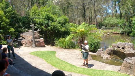 entrenador interactuando con un pájaro en un parque natural