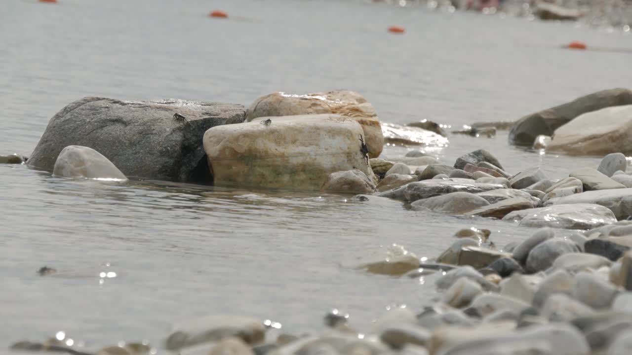 크래브는 물결이 흔들리는 해변의 돌 위에 앉아 있습니다.