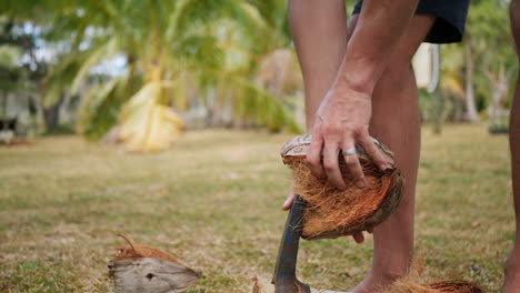 cierre en cámara lenta del hombre que usa espiga de hierro para descascarar el coco orgánico fresco
