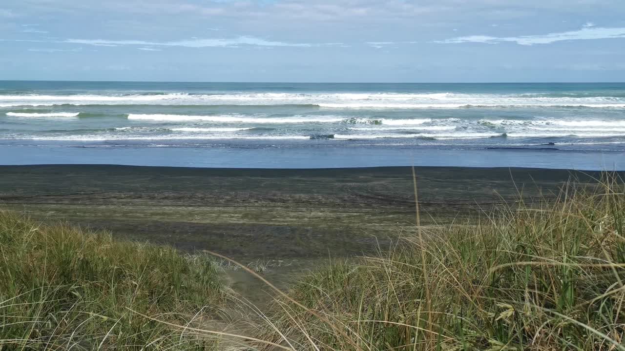dentro de las dunas cubiertas de hierba de la playa de muriwai en la costa este de nueva zelanda