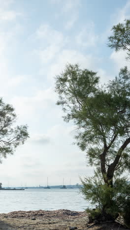 Schöner-Strand-Und-Die-Küste-In-Griechenland-In-Vertikaler