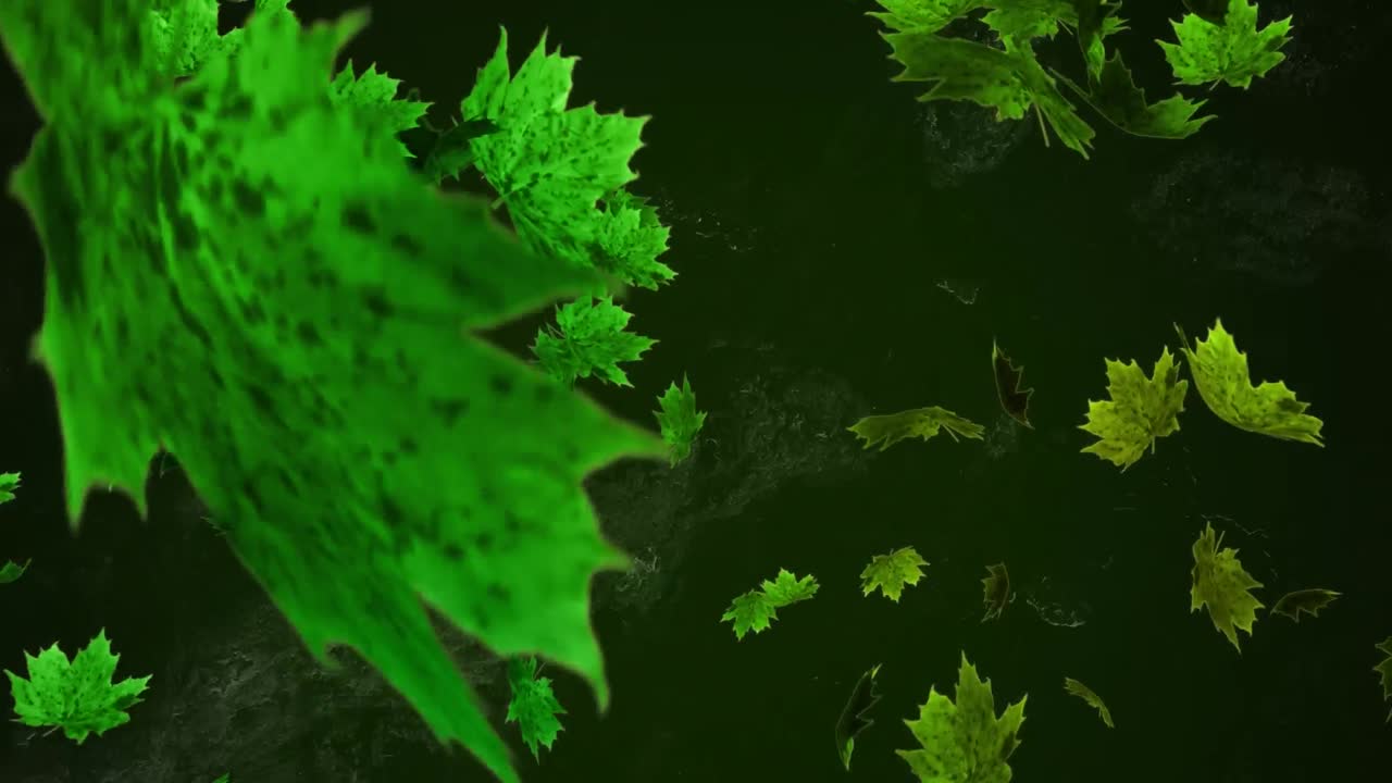 animación de hojas de árbol de plano verde cayendo sobre relámpagos en el cielo negro