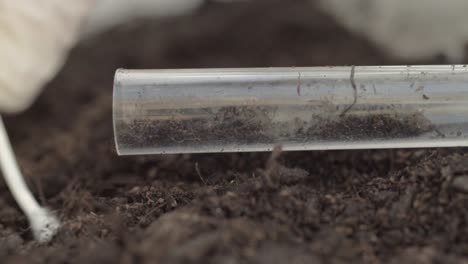 using a test tube to collect soil sample