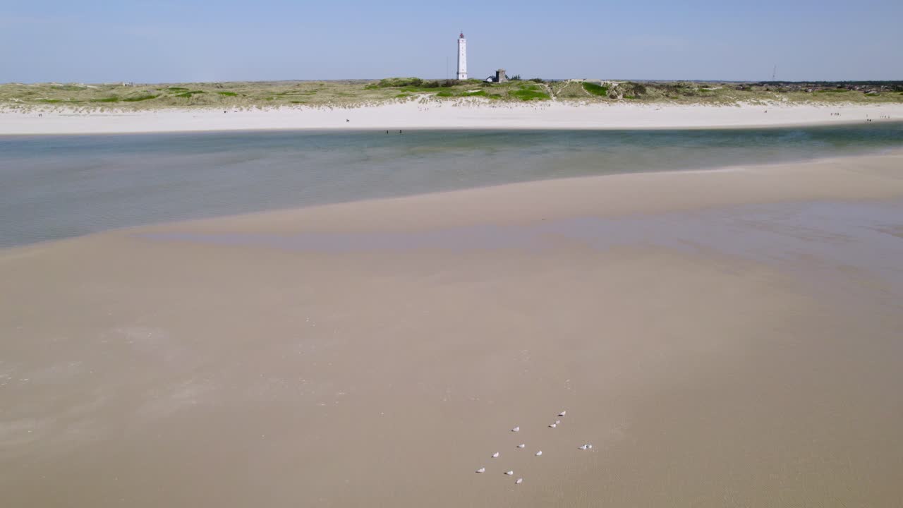 Aerial view of beach with lighthouse and seagulls