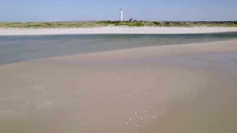 aerial view of beach with lighthouse and seagulls