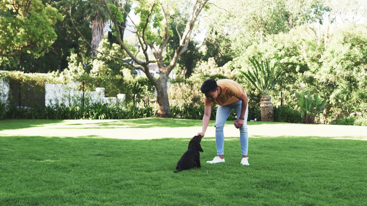 Asian man training dog in park, enjoying sunny day outdoors together, copy space