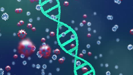 células de coronavirus flotantes sobre el adn.