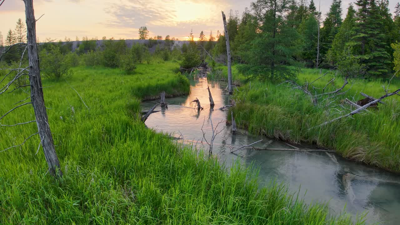 Winding stream at golden hour aerial lush grassland