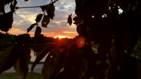 Increíble-Puesta-De-Sol-De-Naturaleza-Dorada-Naranja-En-El-Lago-En-El-Fondo