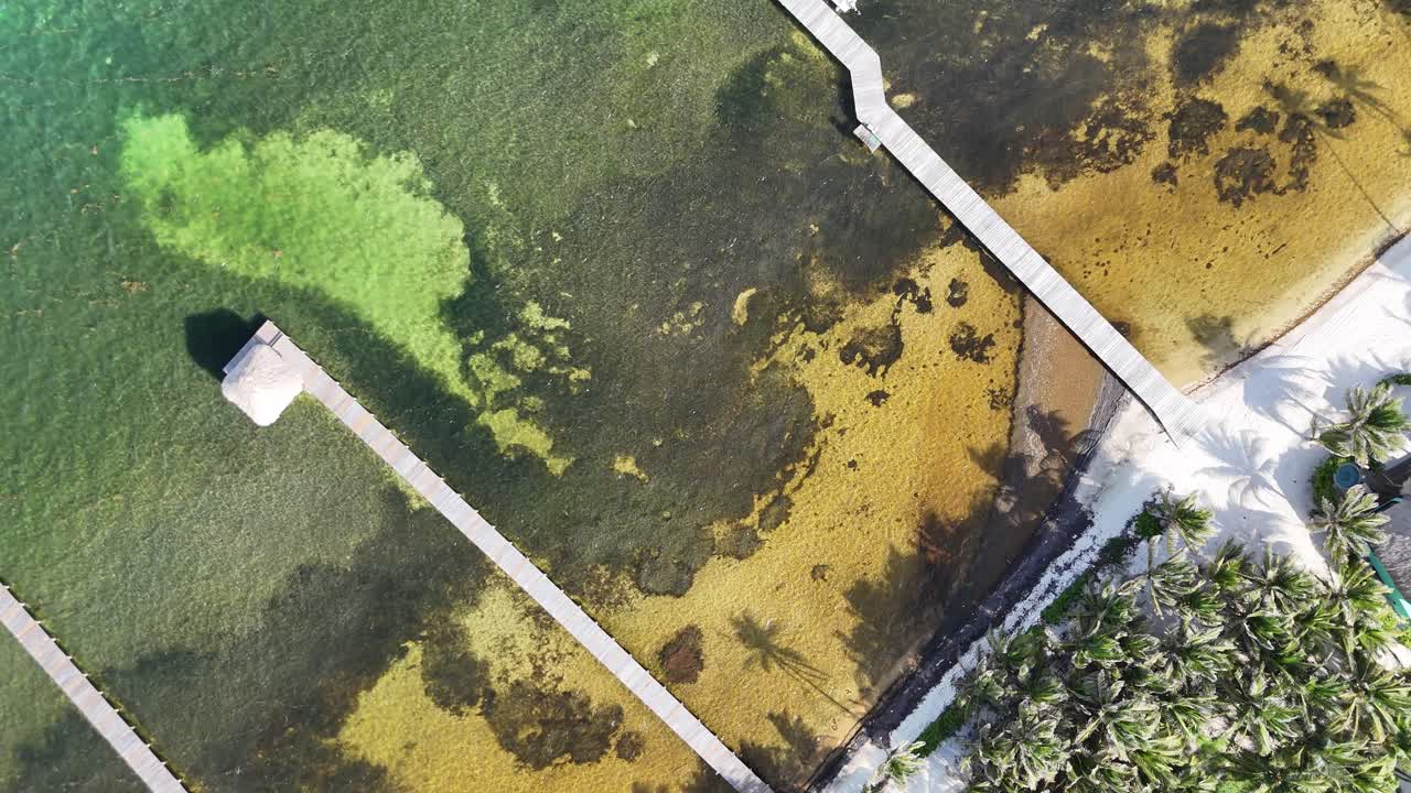Ascending Aerial view of a scenic pier stretching into turquoise waters on Ambergris Caye