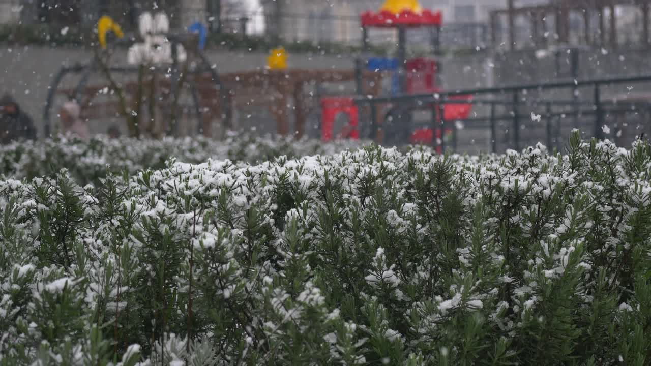 Snowy day at the park