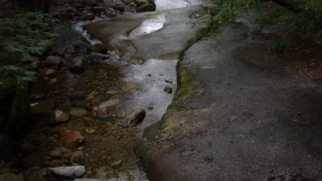 A-downed-tree-crosses-a-calm-steam-running-over-large-stones-within-a-forest