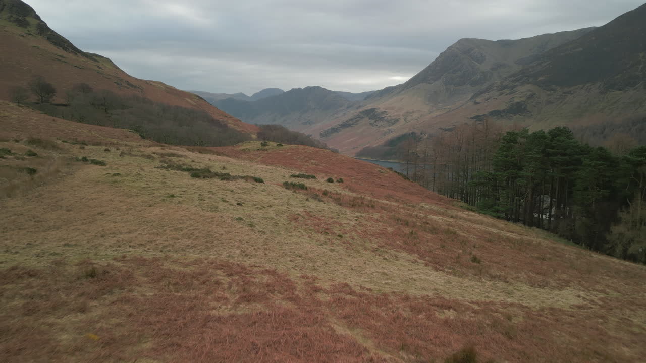 Sorvolo di un escursionista che attraversa la brughiera verso montagne lontane a Buttermere, Distretto dei Laghi inglese, Regno Unito