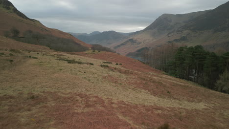 Flying-over-hiker-walking-across-moorland-towards-distant-mountains-at-Buttermere-English-Lake-District-UK