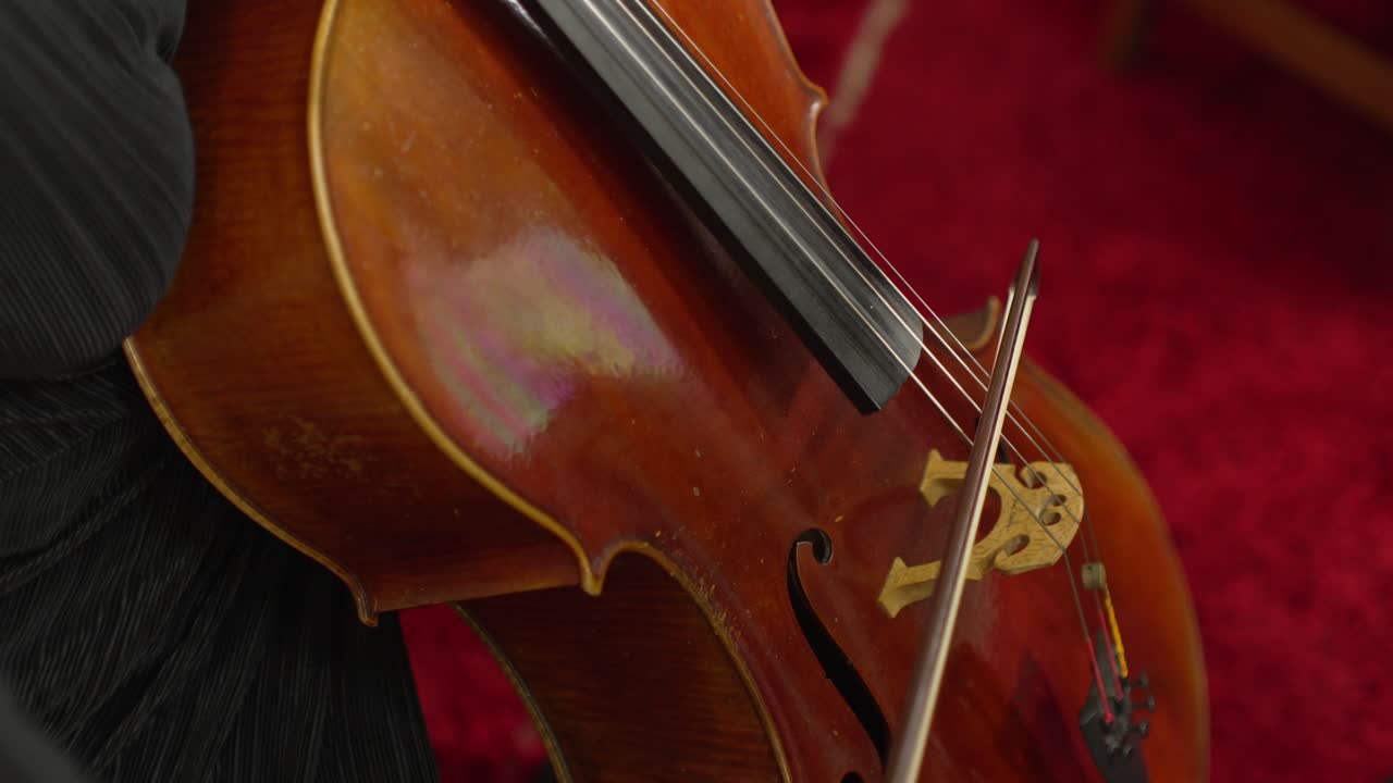 라이브 공연 도중 활 으로 연주 되고 있는 로 의 근접 사진