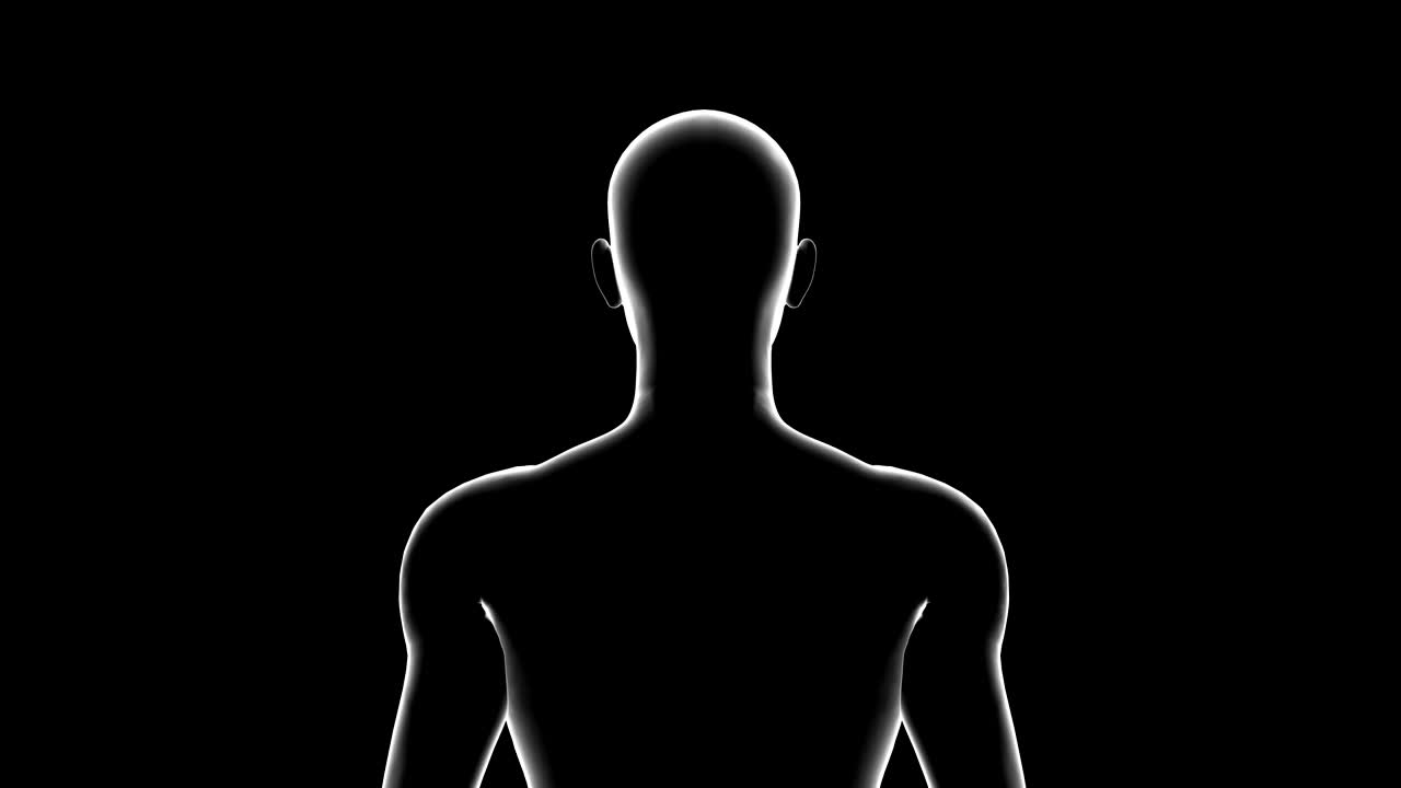 Man, Male Body 3D Model, Seamless Loop