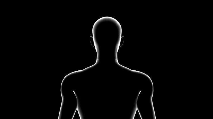 Man, Male Body 3D Model, Seamless Loop
