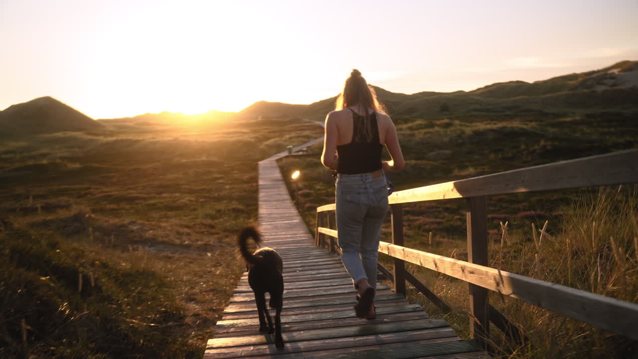 mujer y su perro caminando en un paseo marítimo de madera mientras se pone el sol en una duna