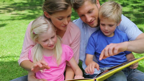 a family turning the page of a book and then continuing to read before smiling towards the camera