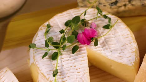 queso y yogur exhibidos con hierbas decorativas