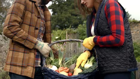 pareja joven sosteniendo una canasta de verduras