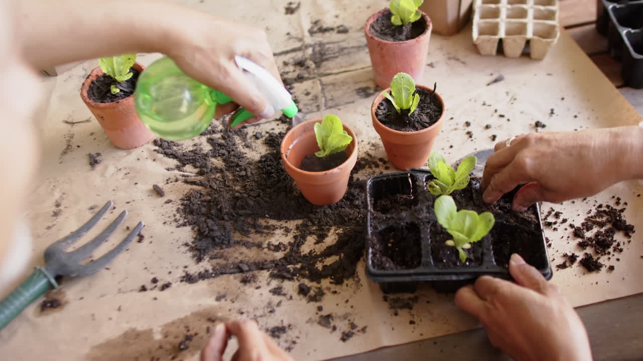 una pareja de ancianos diversos sentados en la mesa y plantando plantas en ollas en el porche