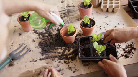 Diverse-senior-couple-sitting-at-table-and-planting-plants-to-pots-on-porch