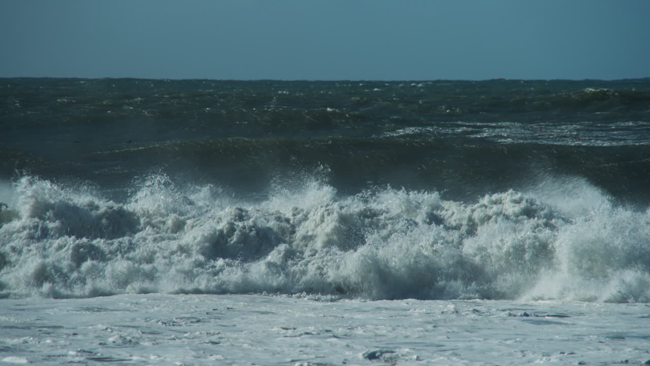 백그라운드에서 수영하는 돌고래 무리와 함께 캘리포니아 하프 문 베이에서 충돌하는 큰 파도