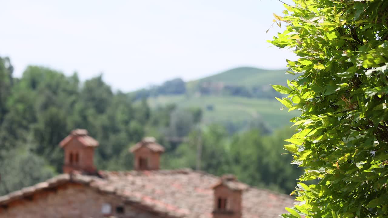 Vegetazione lussureggiante e tetti a Torino, Italia