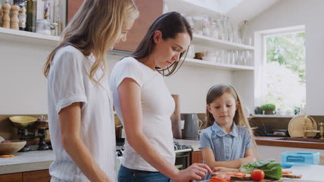 Pareja-De-Mujeres-Del-Mismo-Sexo-Con-Su-Hija-Preparando-Comida-Juntos-En-Casa