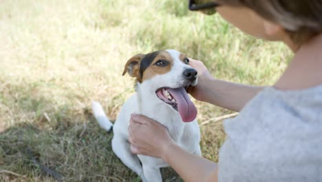 woman with her dog on the grass