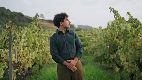 Vineyard-worker-examining-vine-rows-with-yellow-leaves.-Farmer-looking-grapevine