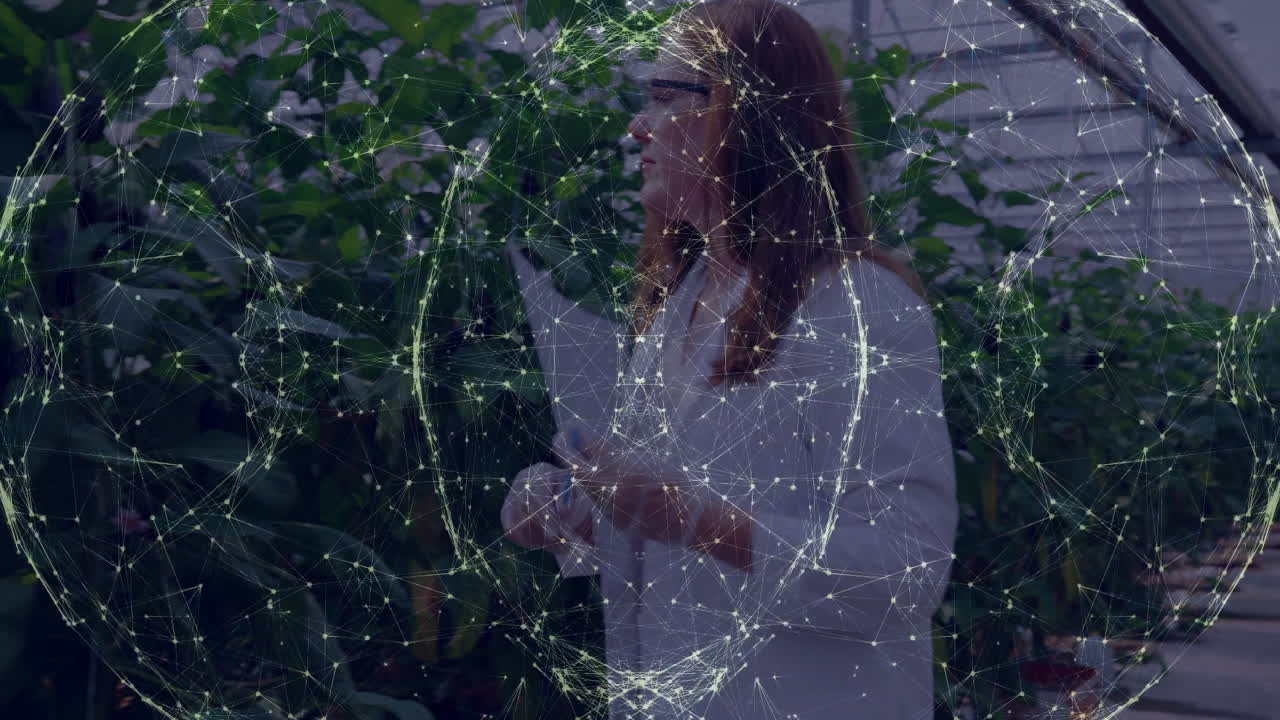 In greenhouse, scientist analyzing network animation over plants for data study