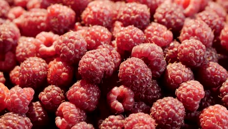 Raspberry rotation background