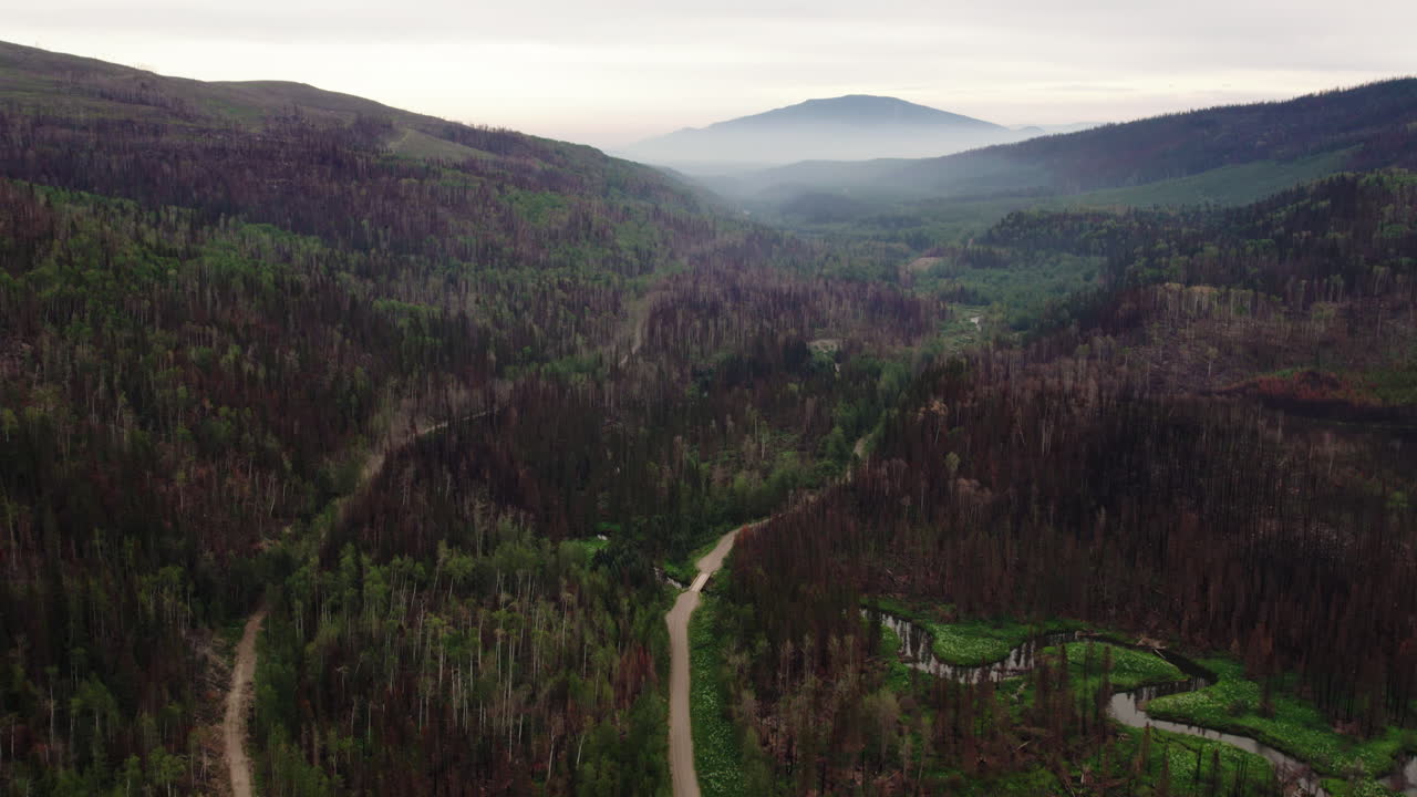 Bjergveje gennem brændt landskab, eftervirkningerne af B.