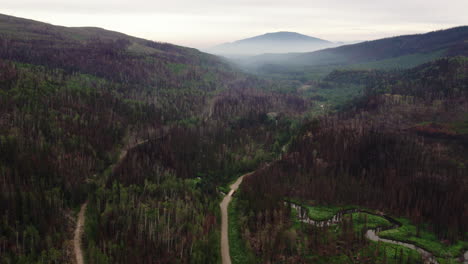 Bergstraßen-Durch-Verbrannte-Landschaft,-Nachwirkungen-Von-B