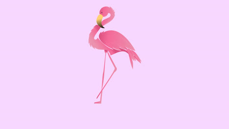 animación de flamenco sobre fondo amarillo