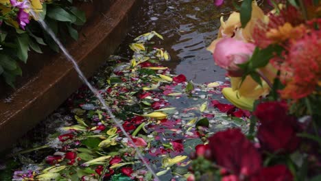 Timfloralis-2019---The-Flowers-Festival,-Timisoara,-Romania