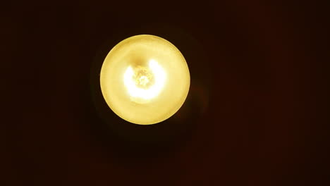 close-up of a glowing light bulb