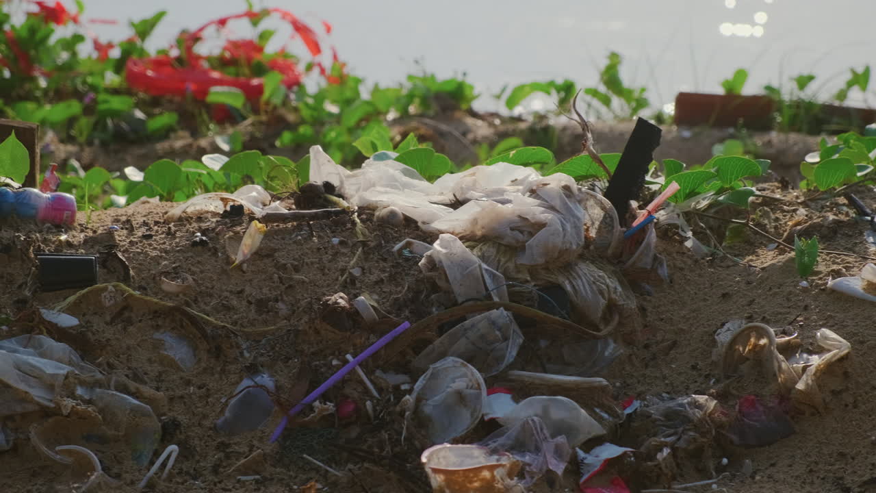 해변 의 플라스틱 오염