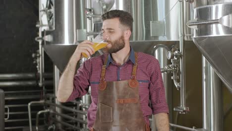 young brewer wearing a leather apron is tasting beer at a modern brewery