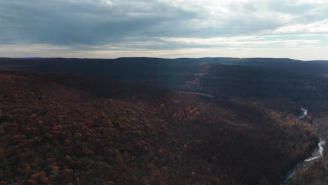 Inmensidad-Del-Bosque-Otoñal-Sobre-El-Río-Lee-Creek-Cerca-De-West-Fork-En-El-Condado-De-Washington,-Arkansas,-Estados-Unidos