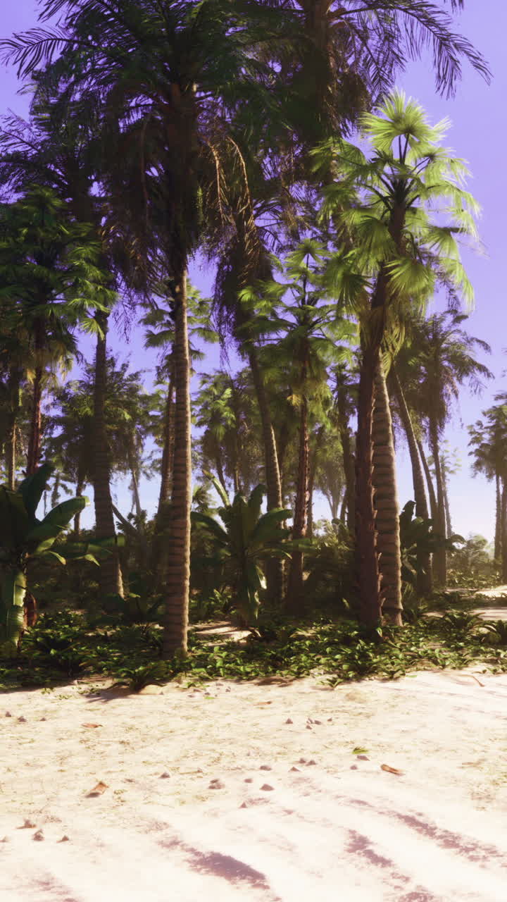 Tropical Palm Trees on a Beach