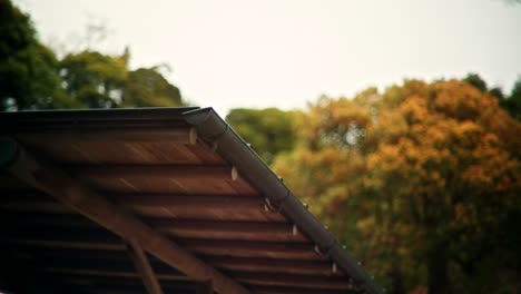 wooden roof detail with autumnal foliage