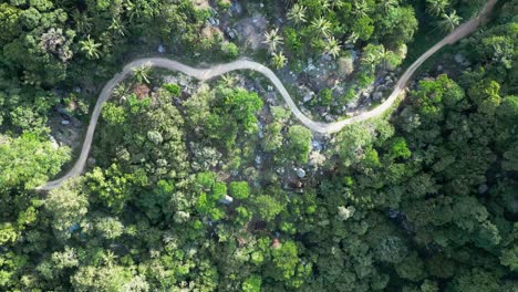 drone top down jungle road trough thailand green jungle koh tao mango bay aerial view