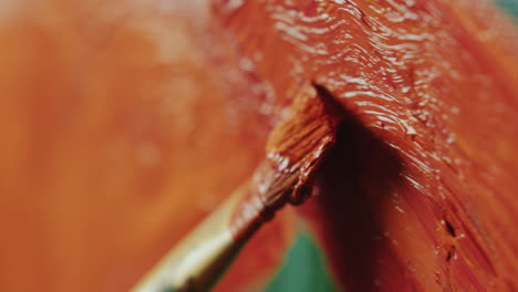 close-up of brush applying thick orange oil paint to canvas